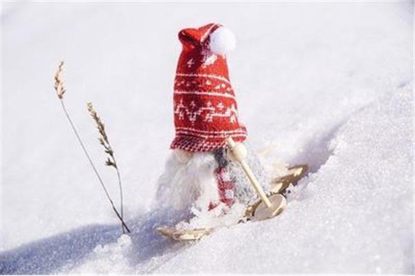 下雪的优美句子