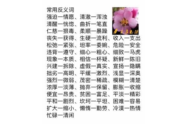 心甘情愿近义词