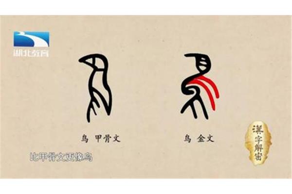 鸟的象形字