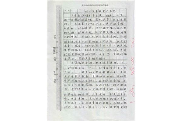 珍惜粮食的作文