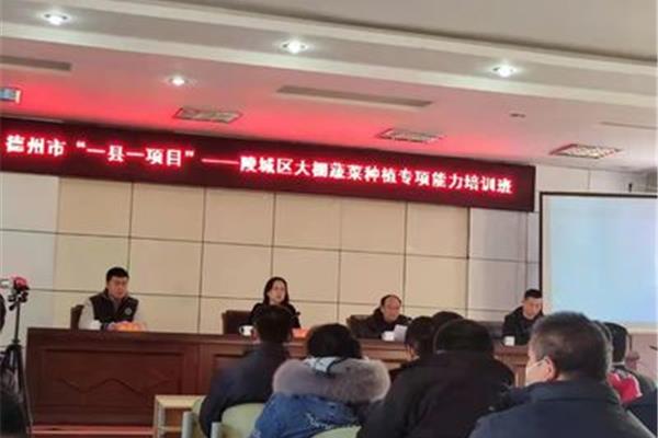 陵城区人社局