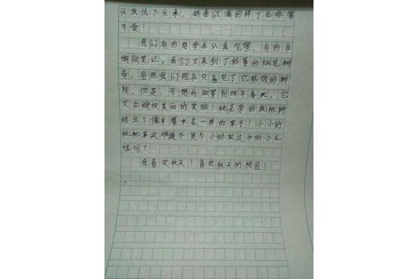 关于照片的作文