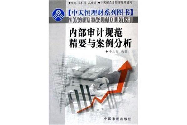 审计案例分析