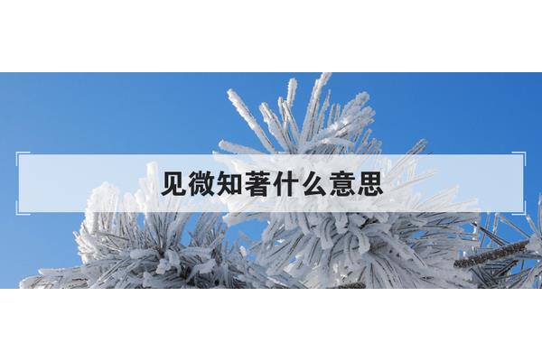 见微知著意思