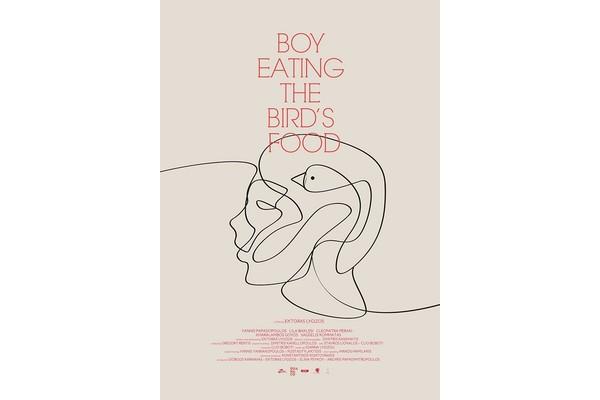 吃鸟食的男孩