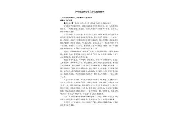 初三中考作文