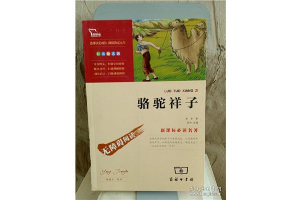 骆驼祥子的启示