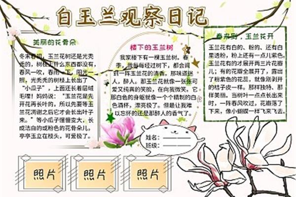 花的手抄报