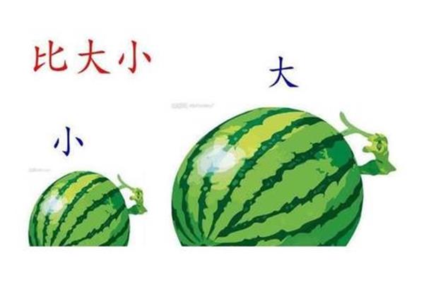 什么蛋中看不中吃