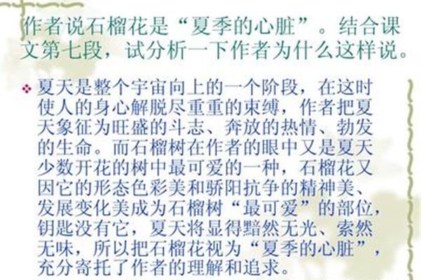 关于夏天的文章