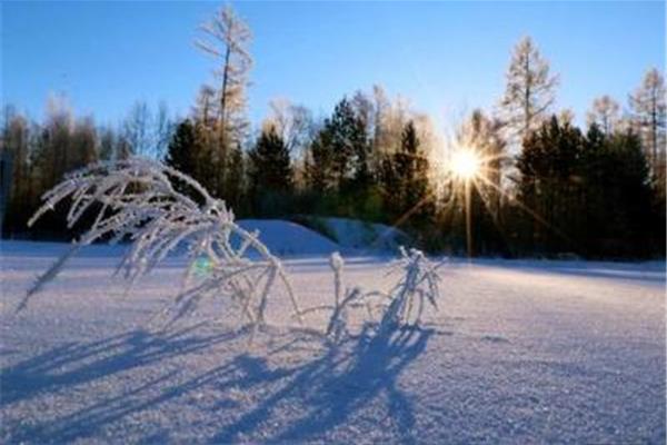 下雪的优美句子