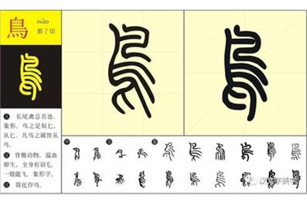鸟的象形字