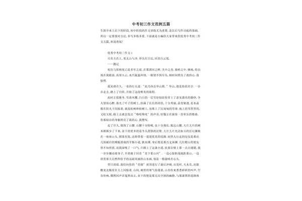 初三中考作文