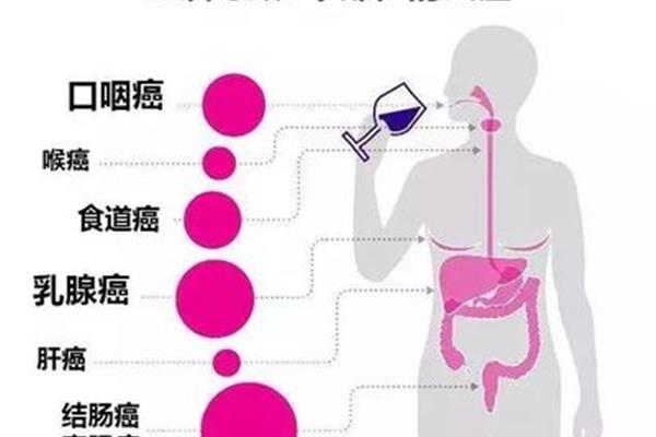 喝酒的坏处
