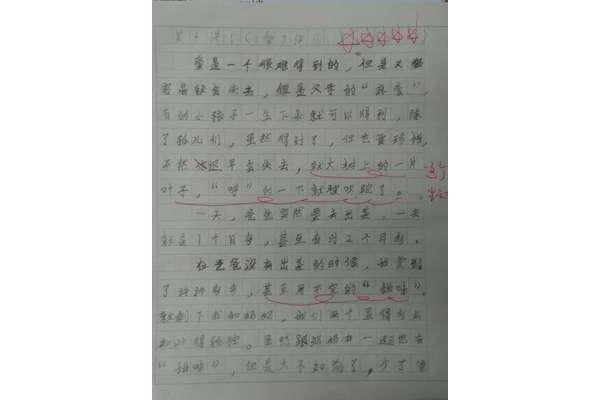 多功能书包作文