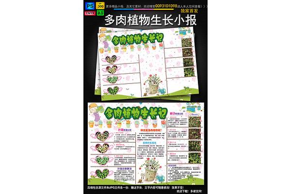植物成长观察日记