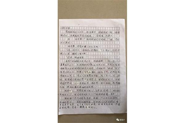 什么的什么作文
