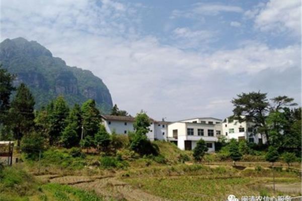 乡村风光的诗句