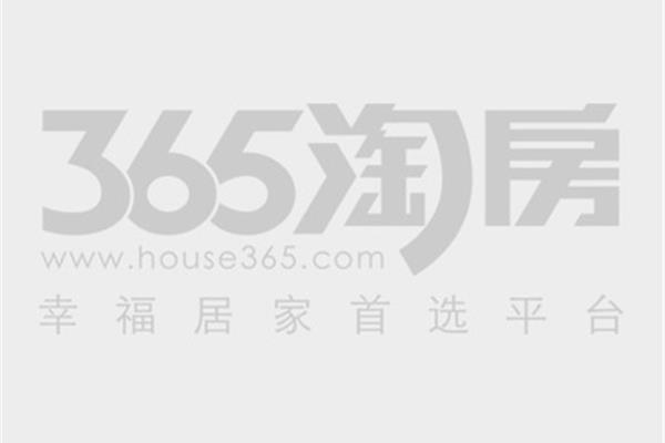 海鸥的叫声