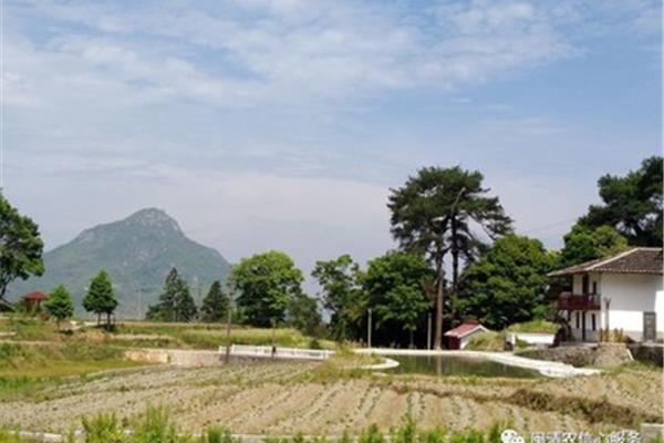 乡村风光的诗句
