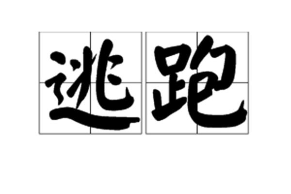 鼠的四字词语