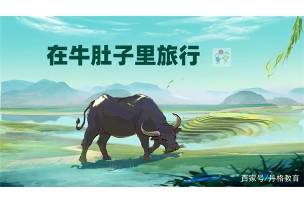牛肚子里的旅行
