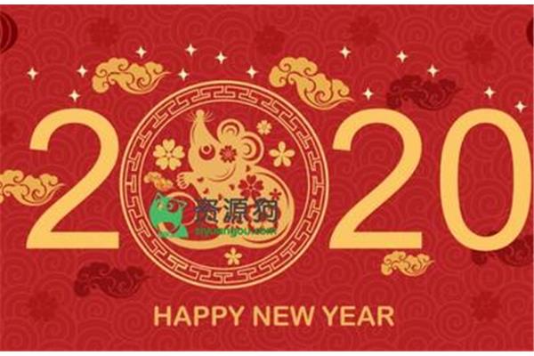 鼠的四字词语