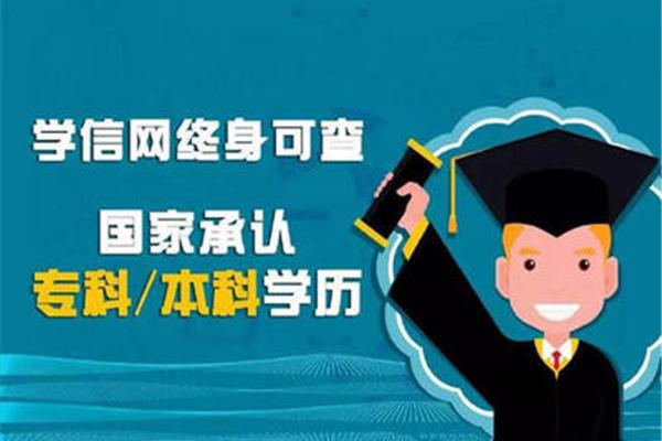 学历教育机构