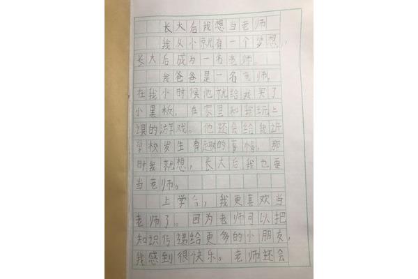什么的什么作文