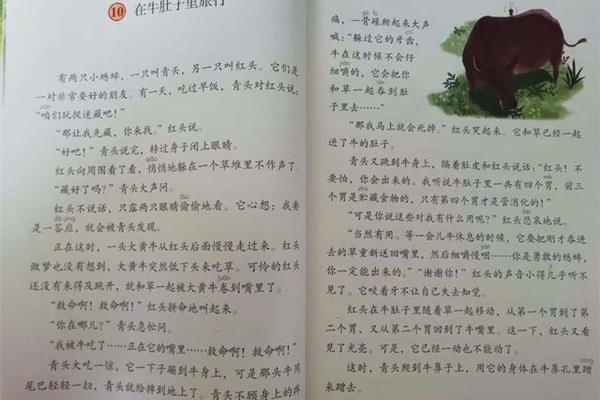 牛肚子里的旅行
