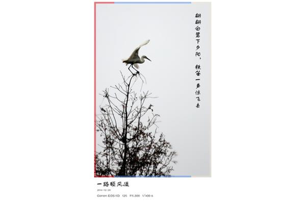 一路顺风近义词