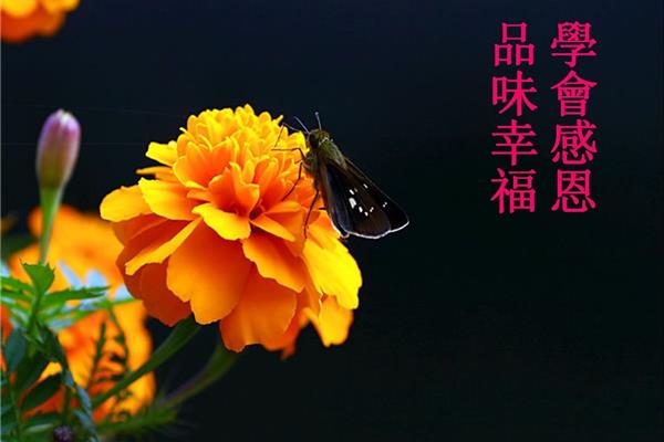 辛苦的句子