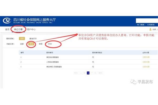 沈阳养老保险查询