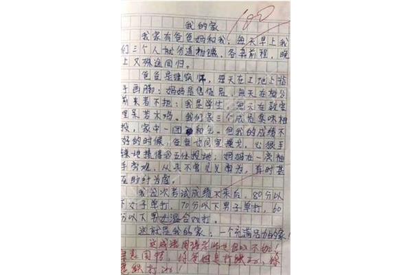 什么的什么作文