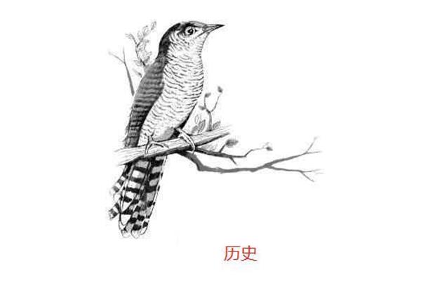 杜宇化鹃的故事