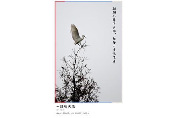 一路顺风近义词