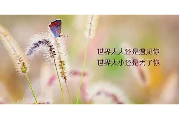 辛苦的句子