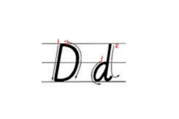 d的笔顺怎么写