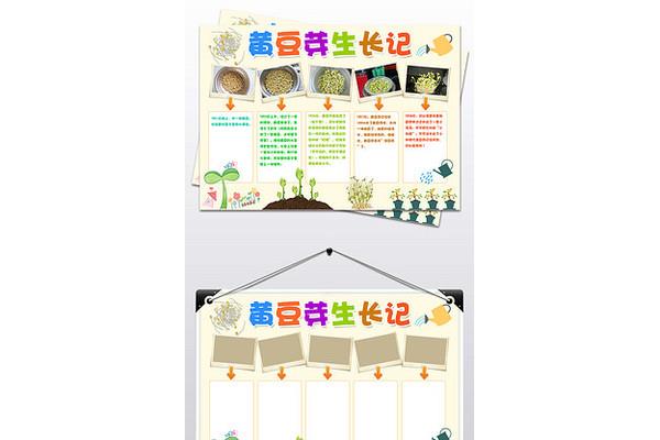 植物成长观察日记