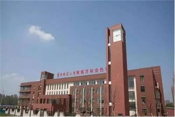 华中师范大学在哪