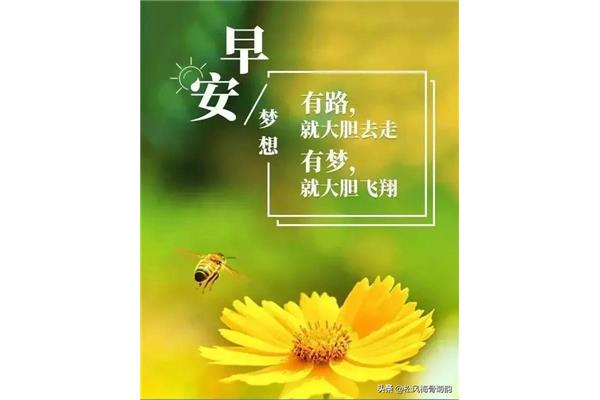 每日问候早安心语