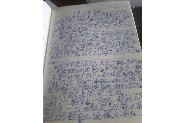 每日日记200字