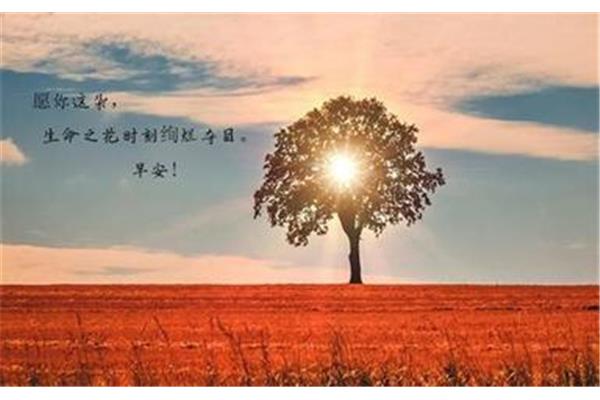 每日问候早安心语