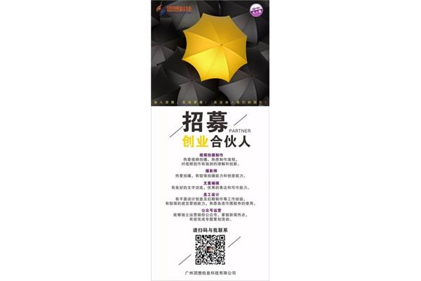 公司合伙人