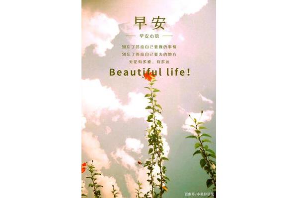 每日问候早安心语