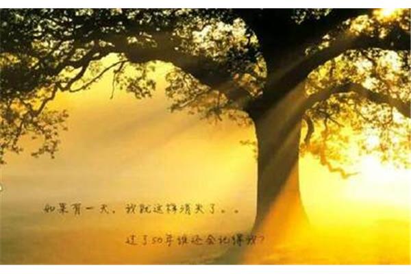 如果有一天