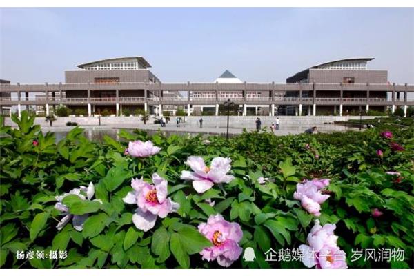 邯郸师范学院