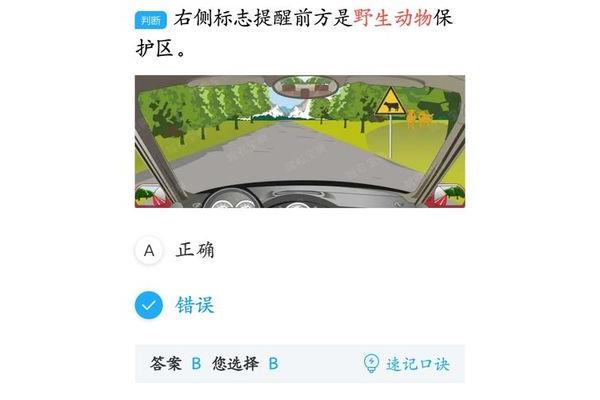 驾驶员模拟考试