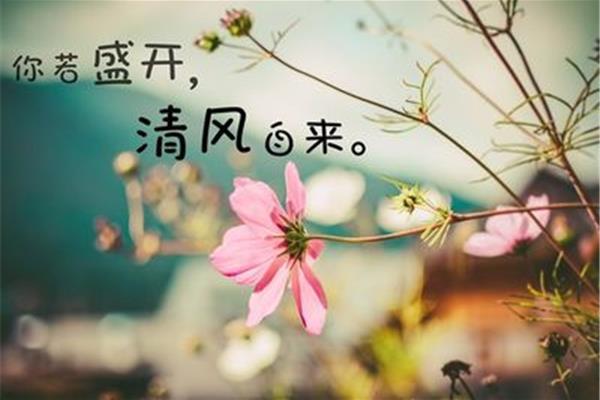 如果有一天