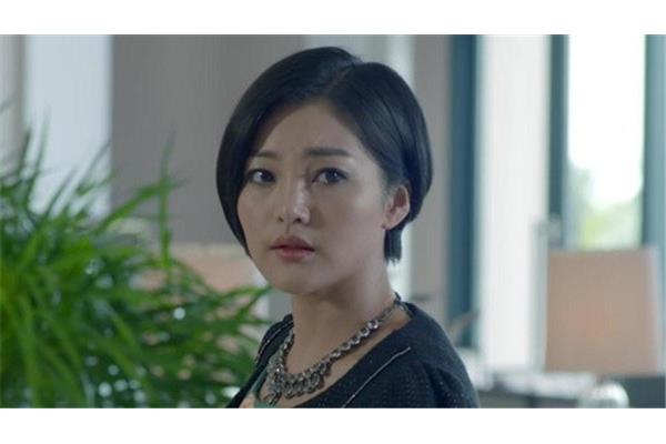 第二次人生兰馨
